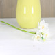 Narcis - biely 35 cm