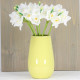 Narcis - biely 35 cm