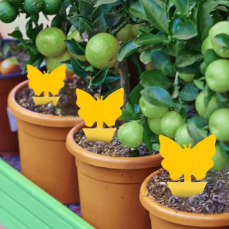 Ochrana rastlín pred hmyzom - 12 ks