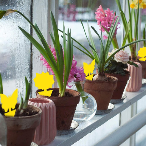 Ochrana rostlin před hmyzem - 12 ks