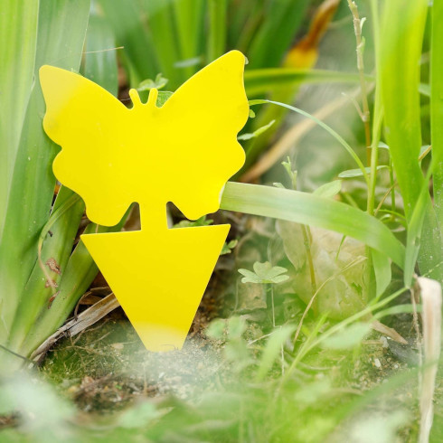 Ochrana rostlin před hmyzem - 12 ks