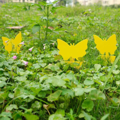 Ochrana rostlin před hmyzem - 12 ks