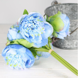 Pivonky - zväzok, kytica 7 ks