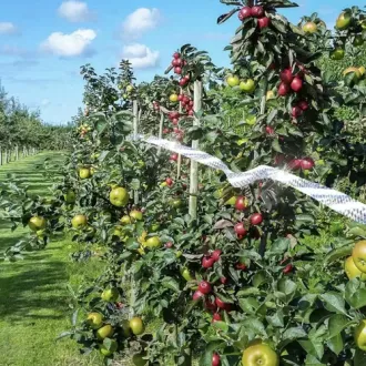 Reflexná páska proti vtákom 80 m