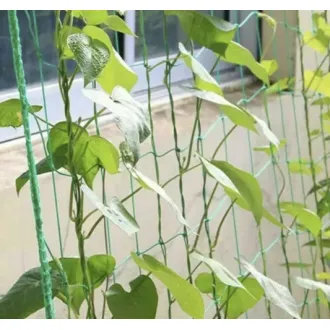 Sieť na popínavé rastliny 2x10 m