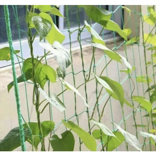 Síť na popínavé rostliny 2x10 m