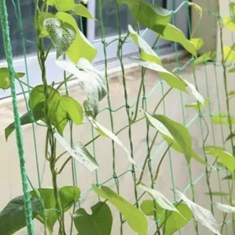 Sieť na popínavé rastliny 2x20 m