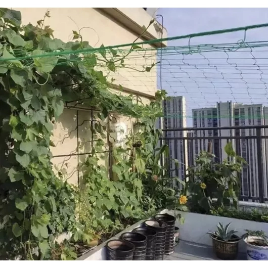 Sieť na popínavé rastliny 2x20 m