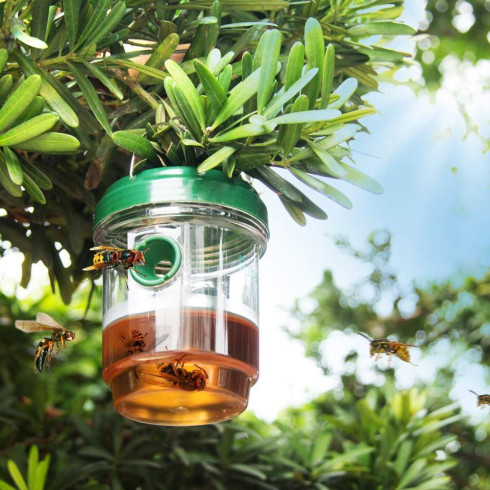 Solární lapač hmyzu