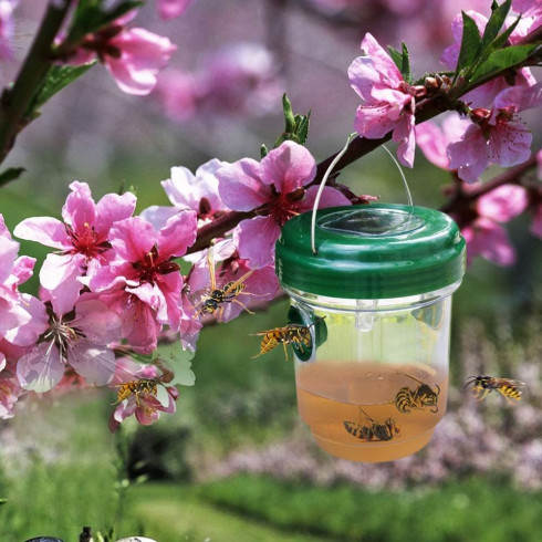 Solární lapač hmyzu