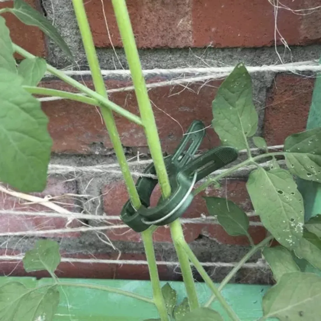 Štipce na upevnenie rastlín, 108 ks