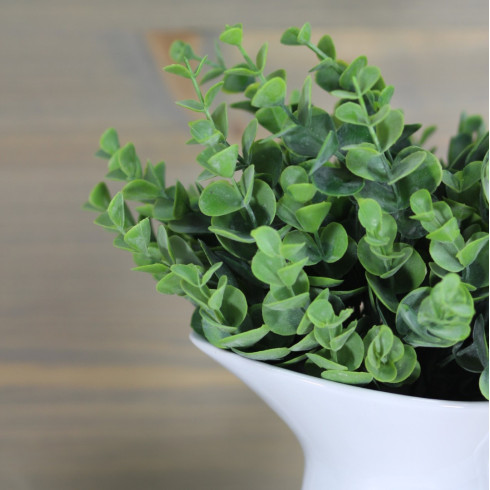 Vetvička eukalyptus - 30 cm