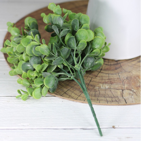 Vetvička eukalyptus - 30 cm