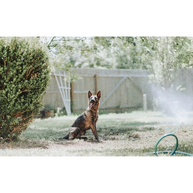 Vodní mlha 11 trysek, 10 m