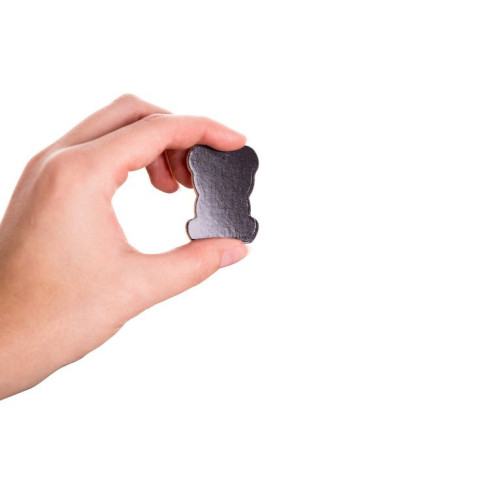 Magnetky na chladničku zvieratka 12 ks